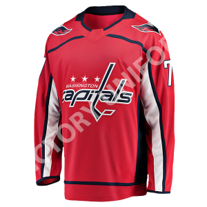 Ice Hokey Jersey 106