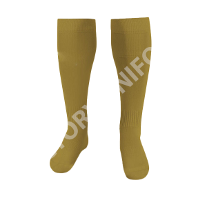 Victory Socks 107